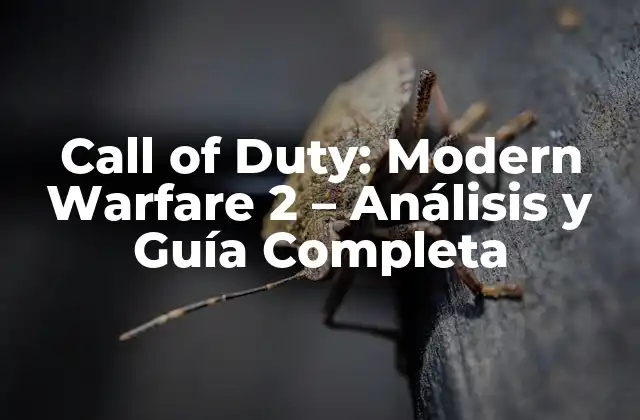 La Trama de Call of Duty: Modern Warfare 2