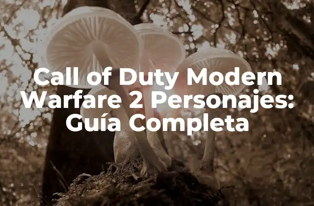 Call Of Duty Modern Warfare 2 Personajes: Guía Completa