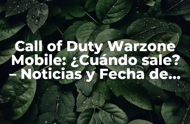 Call Of Duty Warzone Mobile: ¿cuándo Sale? – Noticias y Fecha de Lanzamiento Oficial