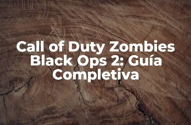 Call Of Duty Zombies Black Ops 2: Guía Completiva