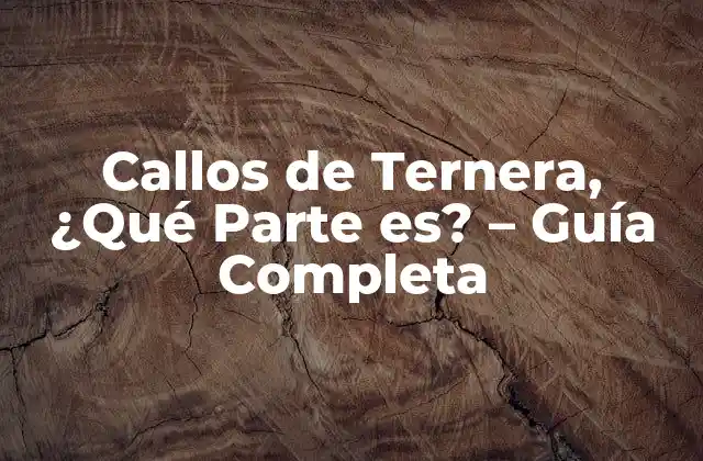 Callos de Ternera, ¿qué Parte Es? – Guía Completa