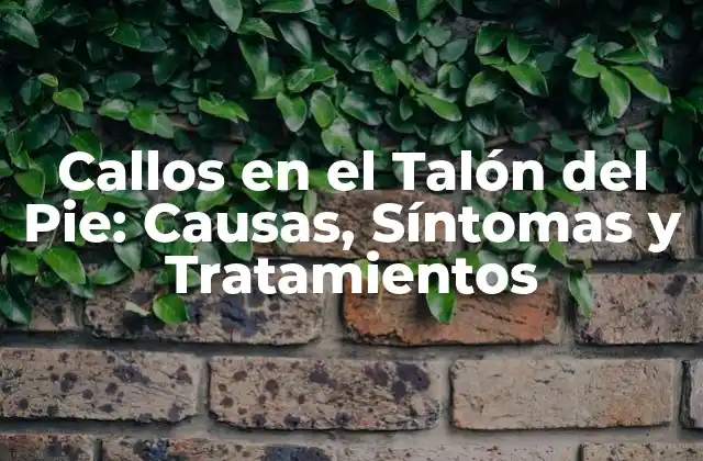 Callos en el Talón Del Pie: Causas, Síntomas y Tratamientos