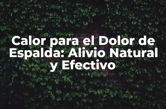 Calor para el Dolor de Espalda: Alivio Natural y Efectivo 2 ¿Cómo Funciona el Calor para el Dolor de Espalda?