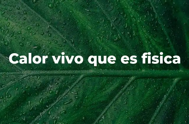 Calor Vivo que es Fisica