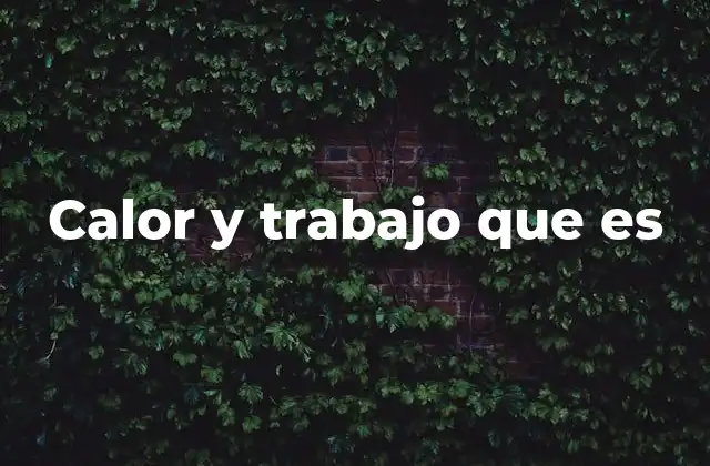 Calor y Trabajo que es