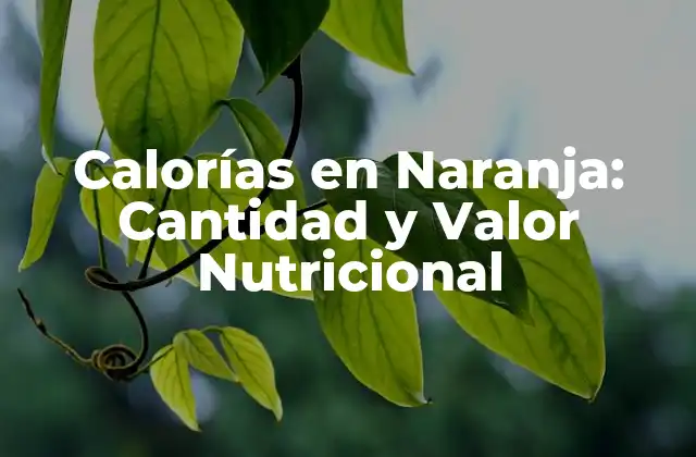 Calorías en Naranja: Cantidad y Valor Nutricional