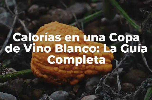 Calorías en una Copa de Vino Blanco: la Guía Completa