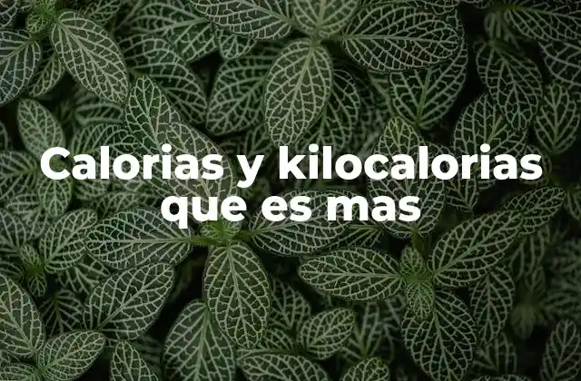 Calorias y Kilocalorias que es mas
