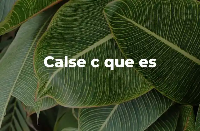 El rol de las clases en la programación orientada a objetos