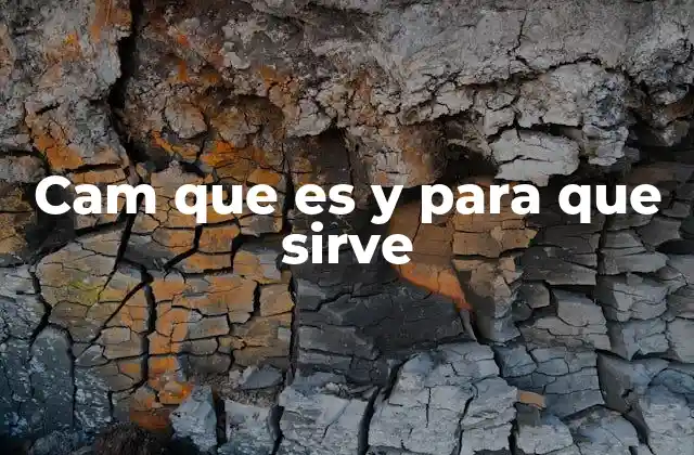 Cam que es y para que Sirve