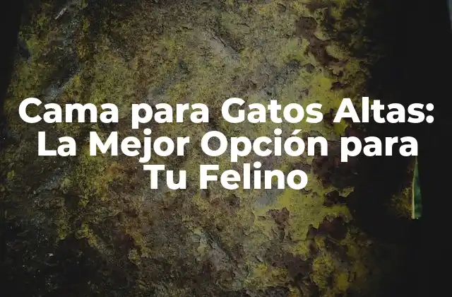 Cama para Gatos Altas: la Mejor Opción para Tu Felino