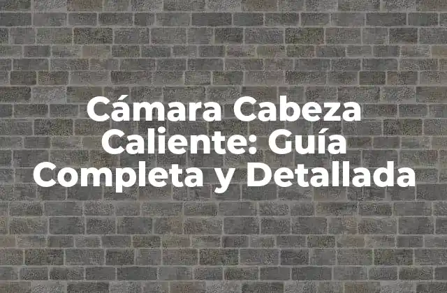 Cámara Cabeza Caliente: Guía Completa y Detallada 2 ¿Qué es una Cámara Cabeza Caliente?