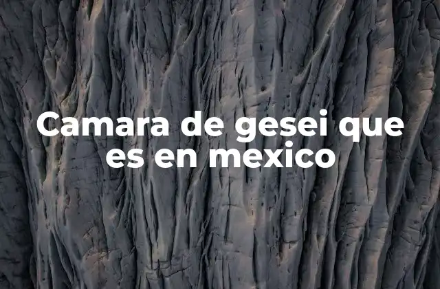Camara de Gesei que es en Mexico