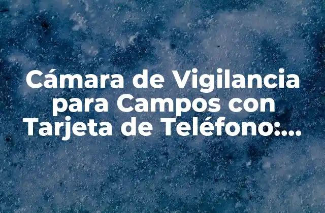 Cámara de Vigilancia para Campos con Tarjeta de Teléfono: Seguridad Rural Avanzada