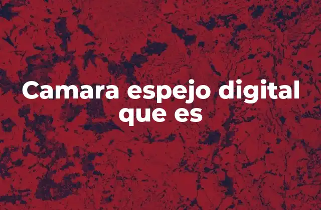 Camara Espejo Digital que es 2 Cómo funciona una cámara espejo digital