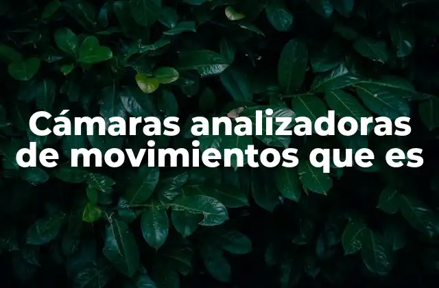 Cámaras Analizadoras de Movimientos que es