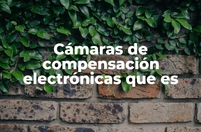 Cámaras de Compensación Electrónicas que es