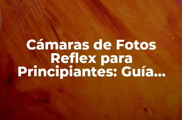 Cámaras de Fotos Reflex para Principiantes: Guía Completa