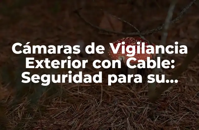 Cámaras de Vigilancia Exterior con Cable: Seguridad para Su Hogar o Negocio