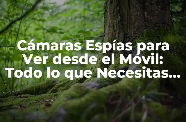 Cámaras Espías para Ver desde el Móvil: Todo Lo que Necesitas Saber
