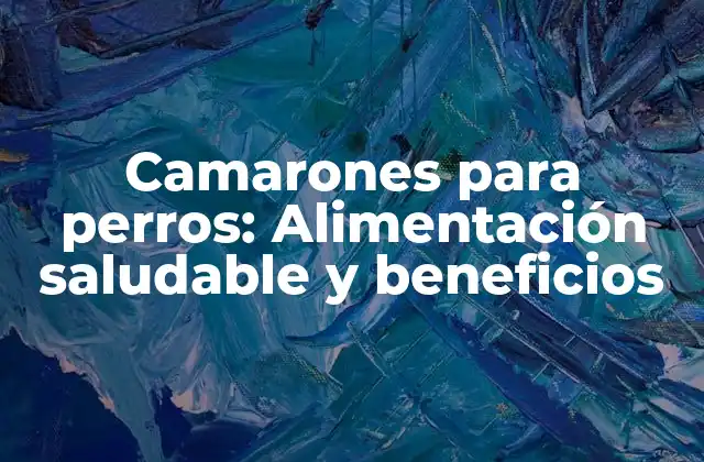 ¿Cuáles son los beneficios de los camarones para perros?
