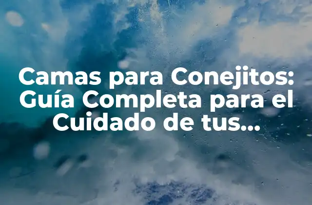 Camas para Conejitos: Guía Completa para el Cuidado de Tus Conejos