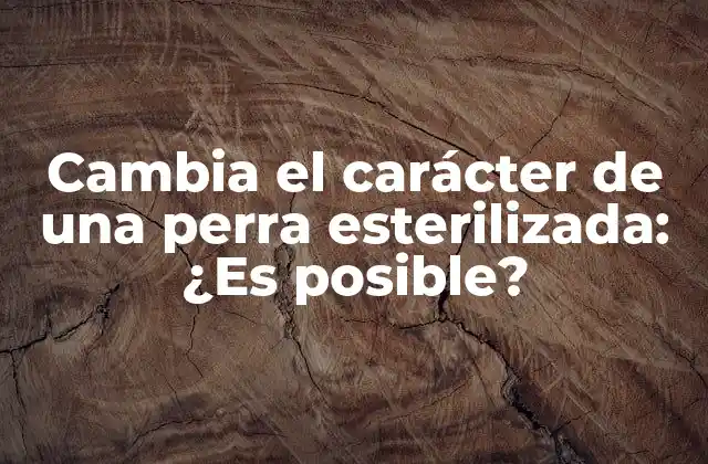 Cambia el Carácter de una Perra Esterilizada: ¿es Posible?