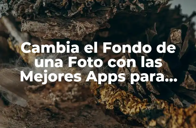 Cambia el Fondo de una Foto con las Mejores Apps para Editar Fotos