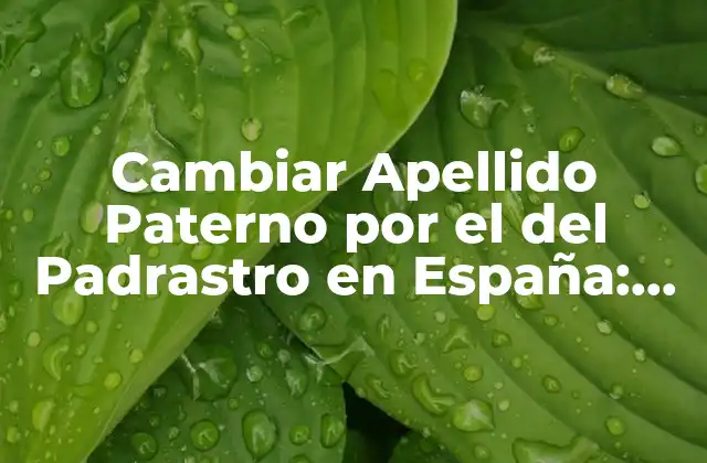 Cambiar Apellido Paterno por el Del Padrastro en España: Guía Completa