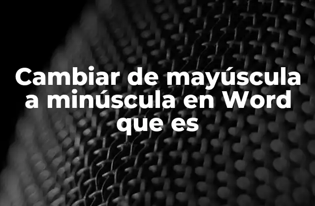 Cambiar de Mayúscula a Minúscula en Word que es