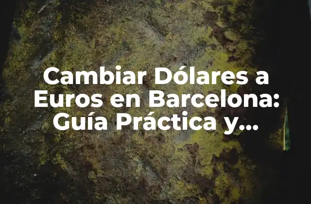 Cambiar Dólares a Euros en Barcelona: Guía Práctica y Actualizada