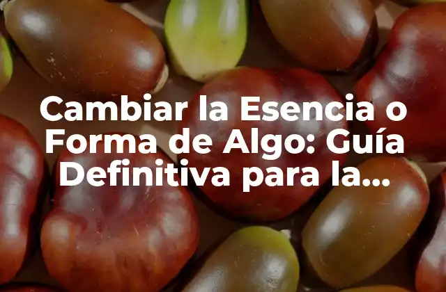 Cambiar la Esencia o Forma de Algo: Guía Definitiva para la Transformación