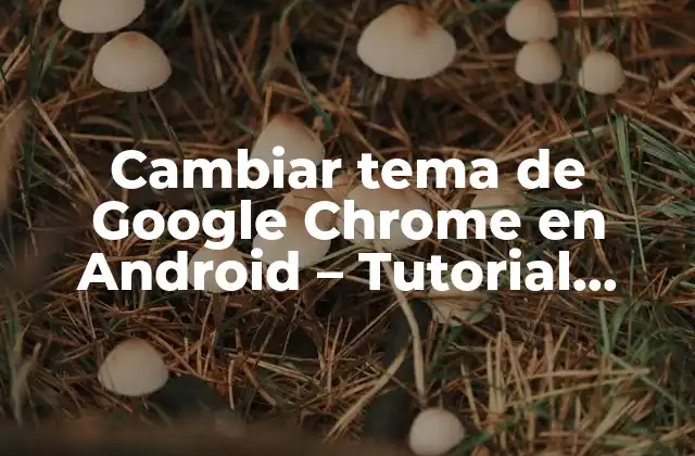 Cambiar Tema de Google Chrome en Android – Tutorial Completo