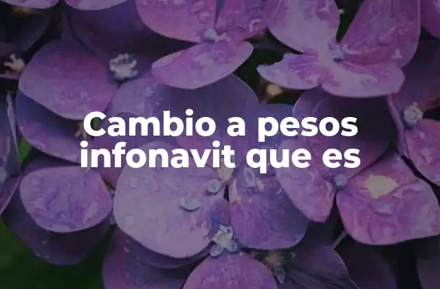 Cambio a Pesos Infonavit que es