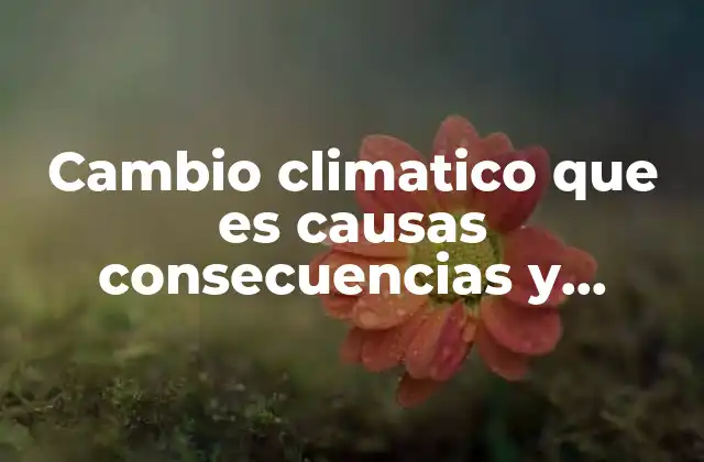 Cambio Climatico que es Causas Consecuencias y Soluciones