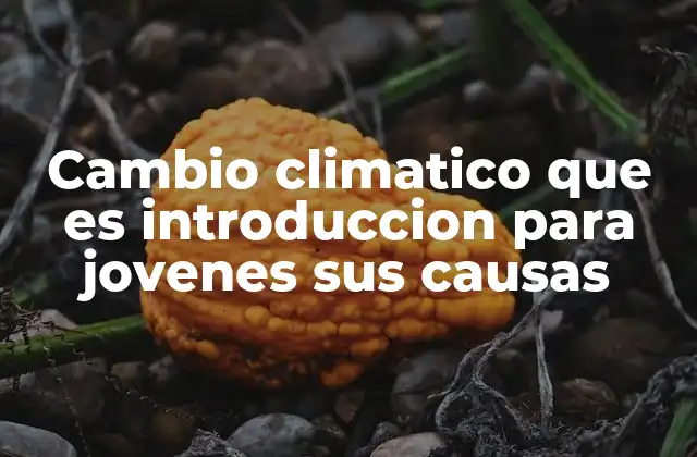 Cambio Climatico que es Introduccion para Jovenes Sus Causas