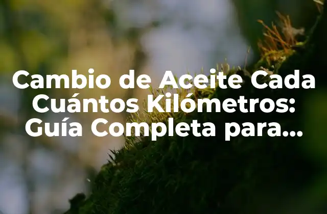 Cambio de Aceite Cada Cuántos Kilómetros: Guía Completa para Mantener Tu Vehículo en Buen Estado