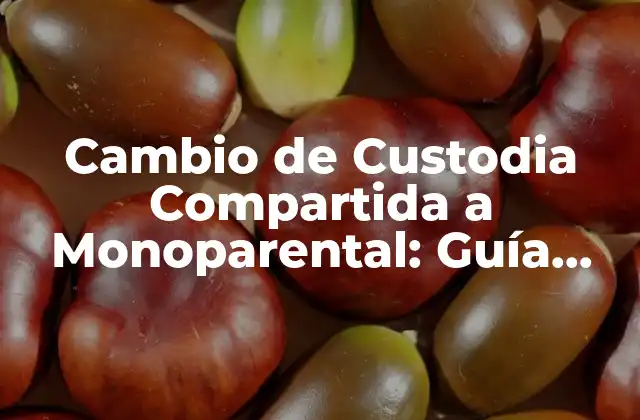 Motivos por los que se produce el cambio de custodia compartida a monoparental