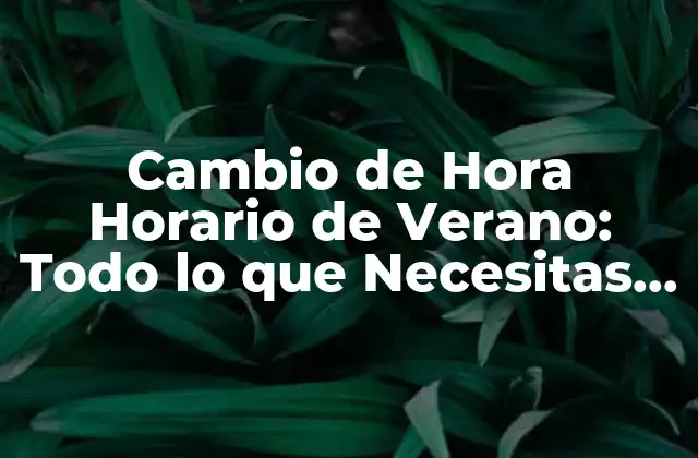 Cambio de Hora Horario de Verano: Todo Lo que Necesitas Saber