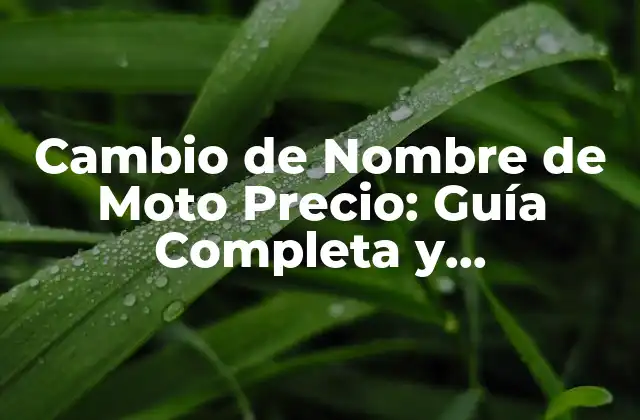 Cambio de Nombre de Moto Precio: Guía Completa y Actualizada