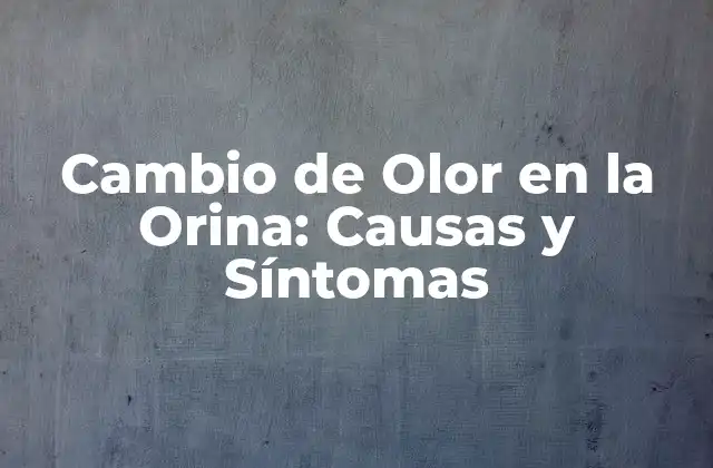 Cambio de Olor en la Orina: Causas y Síntomas