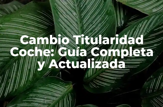 Cambio Titularidad Coche: Guía Completa y Actualizada