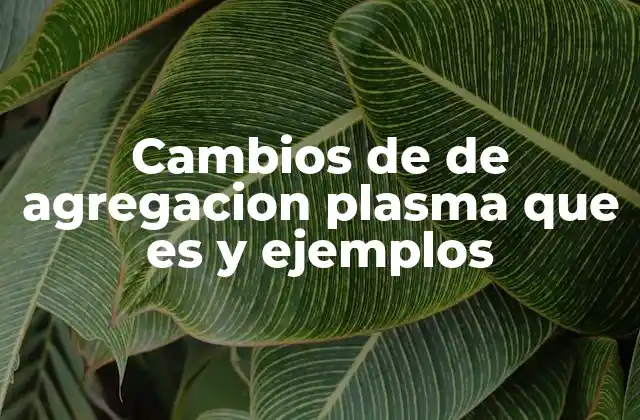 Los procesos detrás de los cambios de agregación al plasma