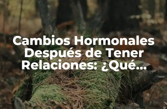 Cambios Hormonales Después de Tener Relaciones: ¿qué Sucede en Tu Cuerpo?