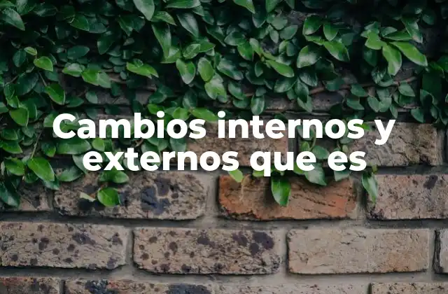Cambios Internos y Externos que es
