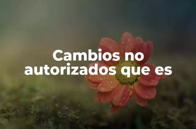 Cambios No Autorizados que es