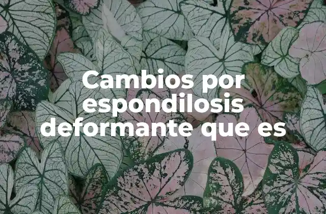 Cómo la espondilosis afecta la calidad de vida