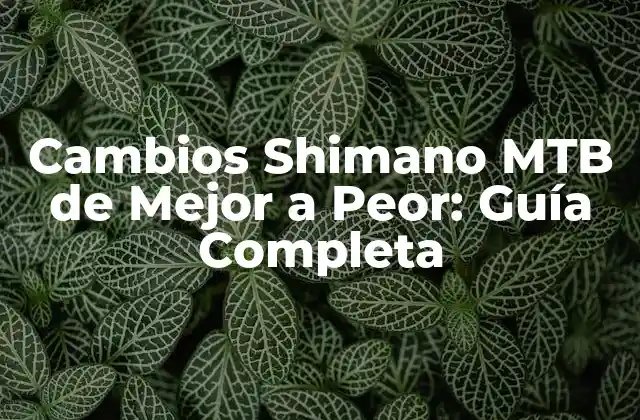 Cambios Shimano Mtb de Mejor a Peor: Guía Completa