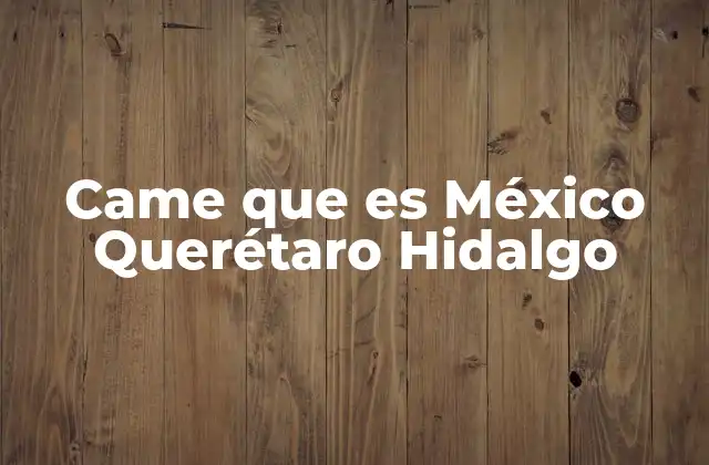 Came que es México Querétaro Hidalgo