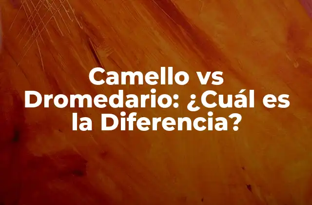 Orígenes y Evolución de los Camellos y Dromedarios